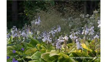 Gartenbaumschule Becker