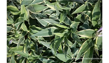 Gartenbaumschule Becker