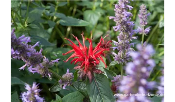 Gartenbaumschule Becker