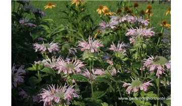 Gartenbaumschule Becker