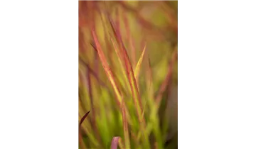 Gartenbaumschule Becker
