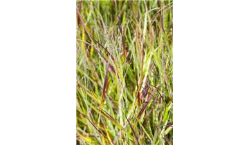 Gartenbaumschule Becker