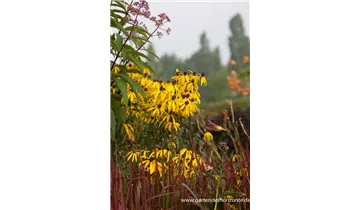 Gartenbaumschule Becker