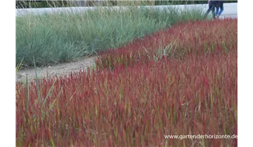 Gartenbaumschule Becker