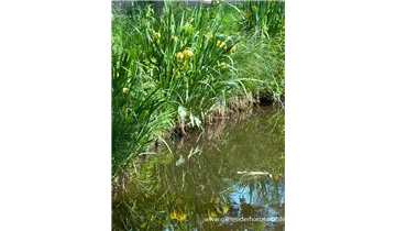 Gartenbaumschule Becker