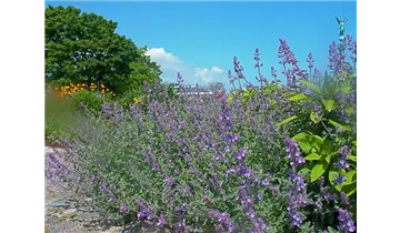 Gartenbaumschule Becker