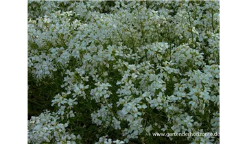Gartenbaumschule Becker
