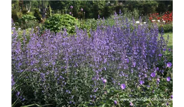 Gartenbaumschule Becker