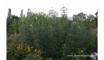 Gartenbaumschule Becker