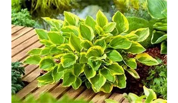 Gartenbaumschule Becker