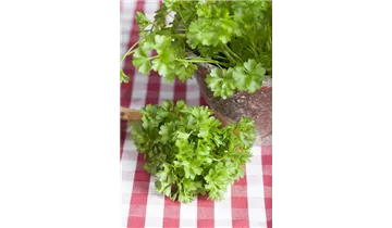 Gartenbaumschule Becker