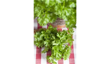 Gartenbaumschule Becker