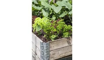 Gartenbaumschule Becker