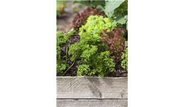 Gartenbaumschule Becker