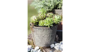 Gartenbaumschule Becker