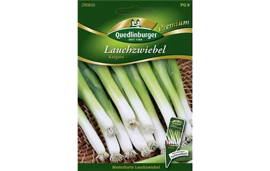 Lauchzwiebelsamen 'Kaigaro'