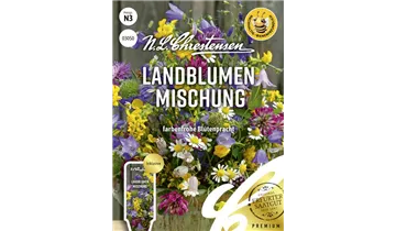 Bildvorschau