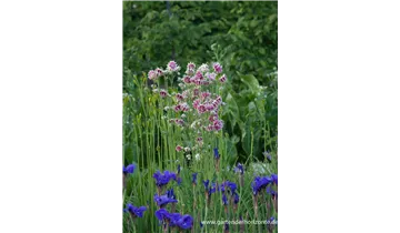 Gartenbaumschule Becker
