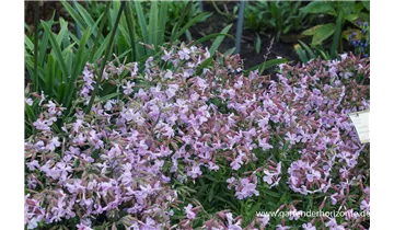 Gartenbaumschule Becker