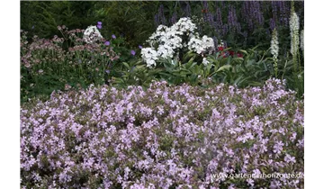 Gartenbaumschule Becker