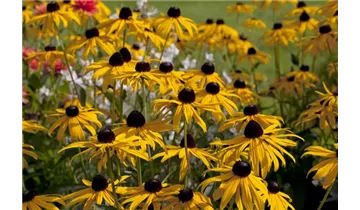 Gartenbaumschule Becker