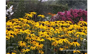 Gartenbaumschule Becker