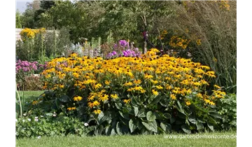 Gartenbaumschule Becker