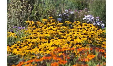 Gartenbaumschule Becker