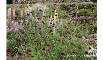 Gartenbaumschule Becker