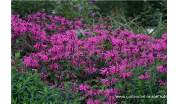 Gartenbaumschule Becker