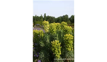 Gartenbaumschule Becker