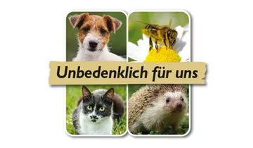 Bildvorschau