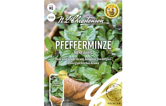 Pfefferminzsamen Pfefferminzsamen