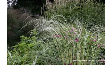 Gartenbaumschule Becker