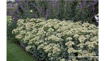 Gartenbaumschule Becker