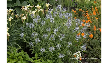 Gartenbaumschule Becker