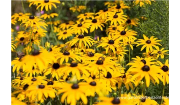 Gartenbaumschule Becker