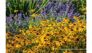 Gartenbaumschule Becker