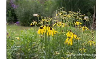 Gartenbaumschule Becker