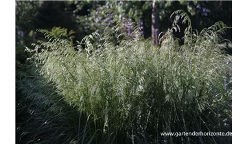 Gartenbaumschule Becker