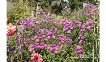 Gartenbaumschule Becker