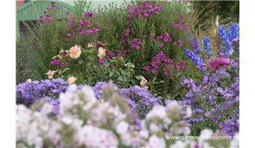 Gartenbaumschule Becker