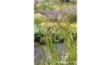 Gartenbaumschule Becker