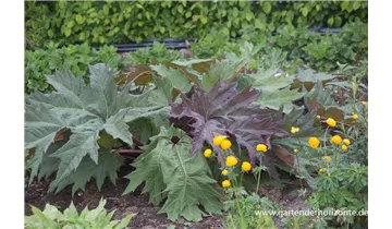 Gartenbaumschule Becker