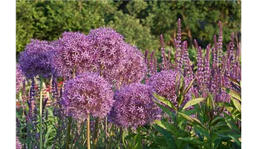 Gartenbaumschule Becker