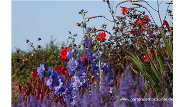 Gartenbaumschule Becker