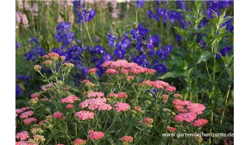 Gartenbaumschule Becker