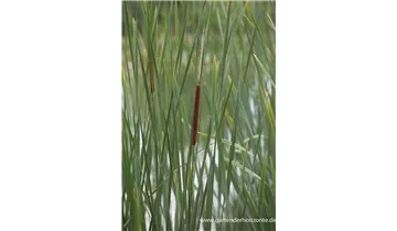 Gartenbaumschule Becker