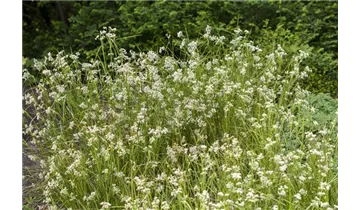 Gartenbaumschule Becker