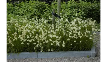 Gartenbaumschule Becker